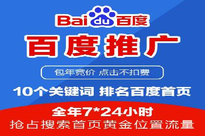 谷歌竞价广告在电商行业的运用案例