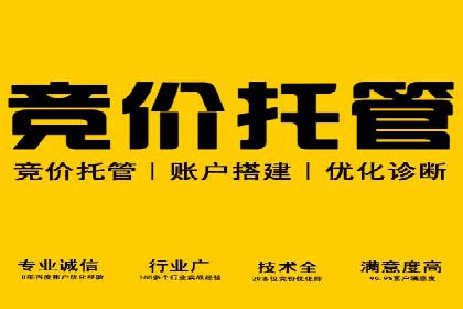 竞价排名在电商行业的实战案例